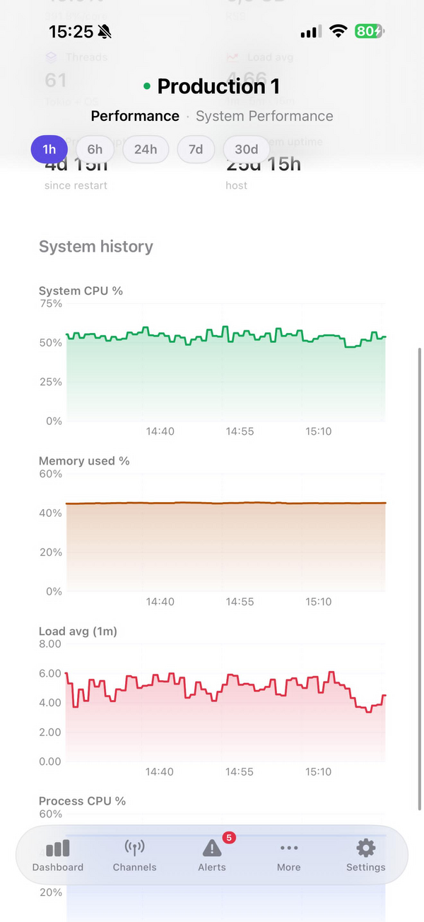 Grafice de performanță iOS NoSignal: istoric CPU, memorie și încărcare.